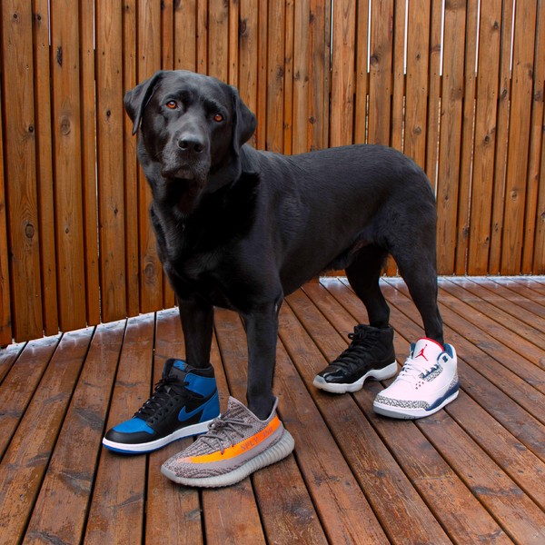 鞋子也可以用神仙水防晒霜，还可以做“脚膜”？