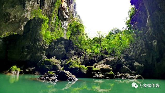 头条丨大家好！我叫巴马，这是我的简历，请多多关照！