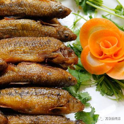 头条丨大家好！我叫巴马，这是我的简历，请多多关照！