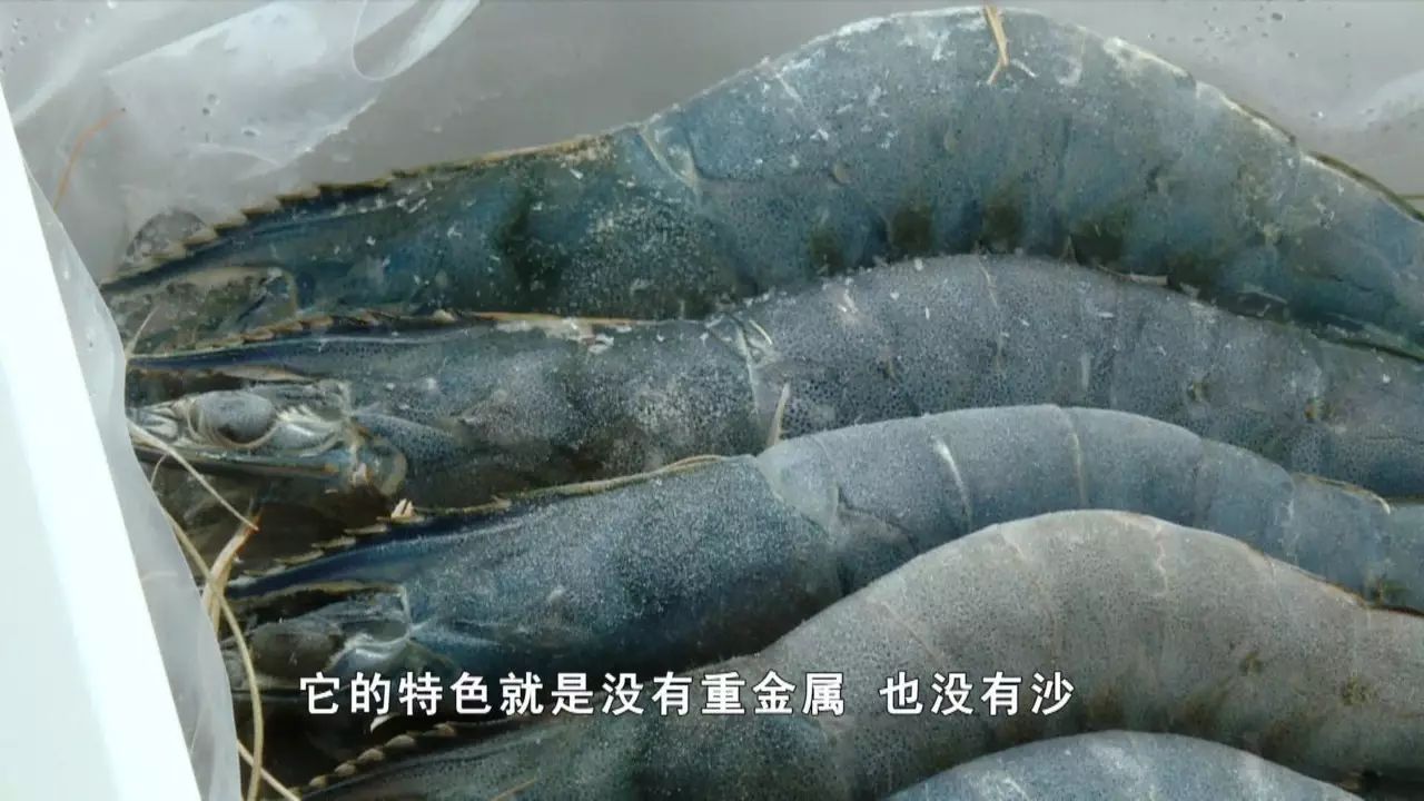 文莱王宫全景图,文莱国王纪念馆视频