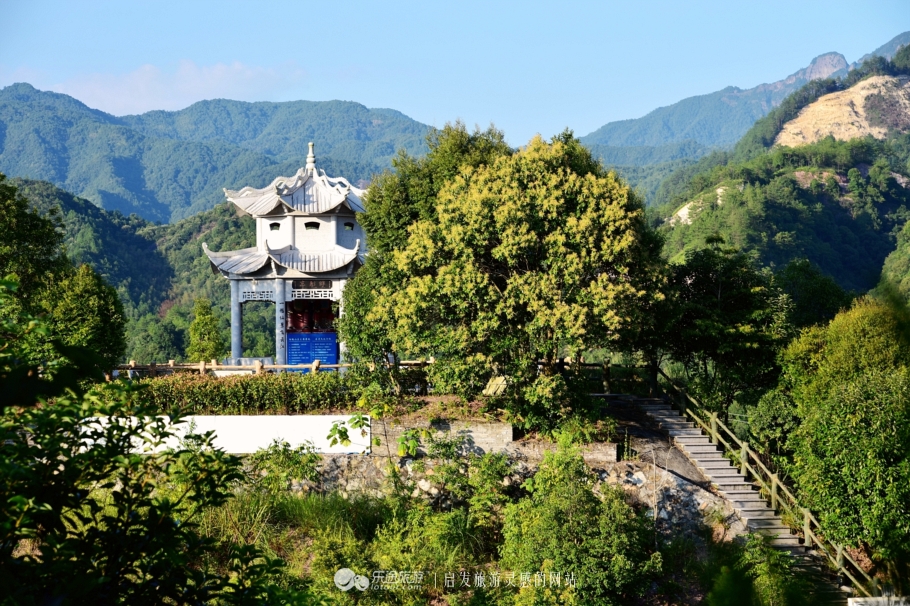 亚洲第一钢索桥,最长的钢索桥