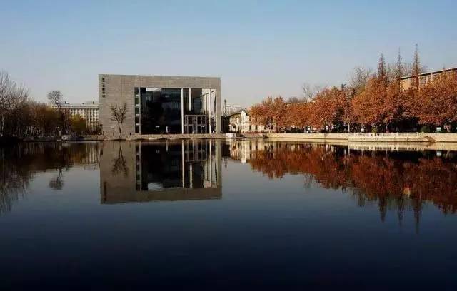 国家一流学科建设点和省一流学科,关于建设一流学科的决定