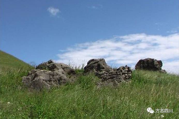 蜀中名士人物介绍,蜀中人物