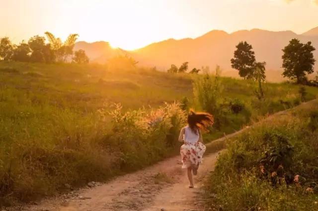 我们相爱吧无尾熊全集,我们相爱吧无尾熊