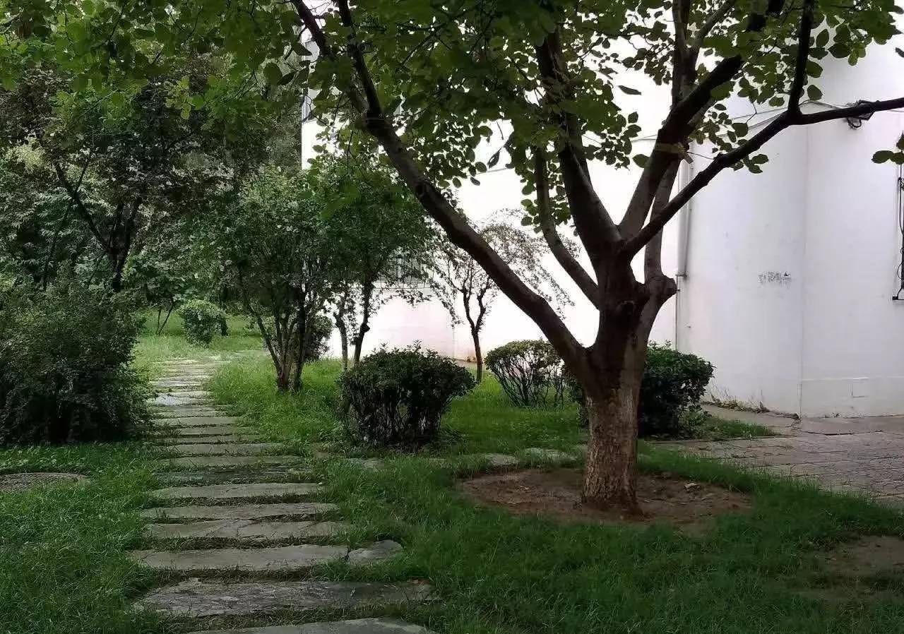 北京交通运输职业学院最新消息,北京运输职业学院排名