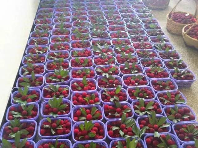 浙江台州农产品有哪些,台州特色农产品有哪些