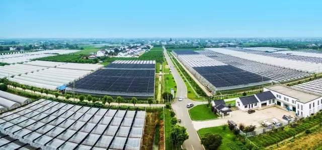 若你看过了望亭的前世今生，你会爱上这个“稻香小镇”！