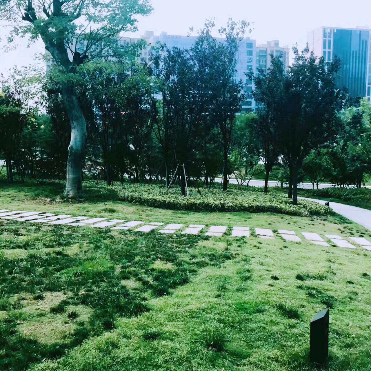 离城市最近的公园,郑州十大城市公园