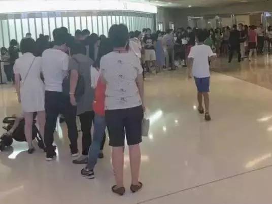 海关tips,海关tips系统