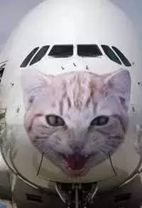 日本航空ja350号班机坠毁事件,日本航空jal123航班空难