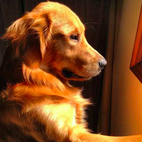 好物节年中大促,好东西优惠大促