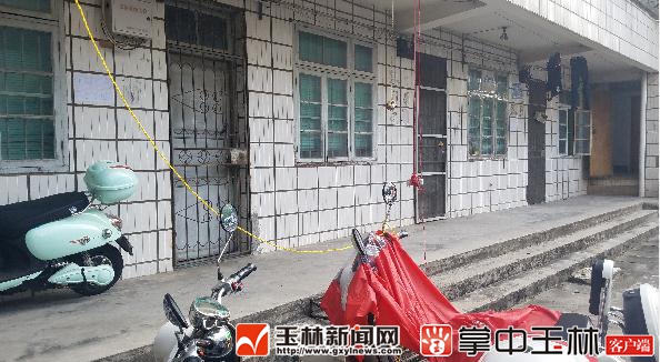 广西特产排名前十名品种,广西玉林的十大名茶