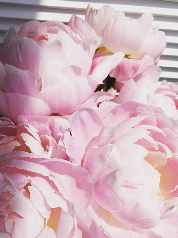 鏃ユ湰棣欐按鎬т环姣旈珮鎺ㄨ崘,鏃ユ湰棣欐按骞充环