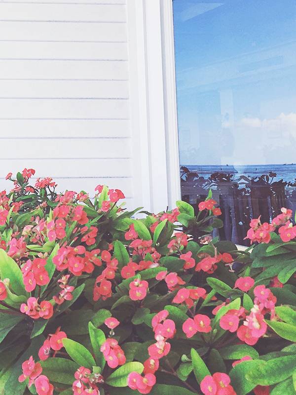 鏃ユ湰棣欐按鎬т环姣旈珮鎺ㄨ崘,鏃ユ湰棣欐按骞充环