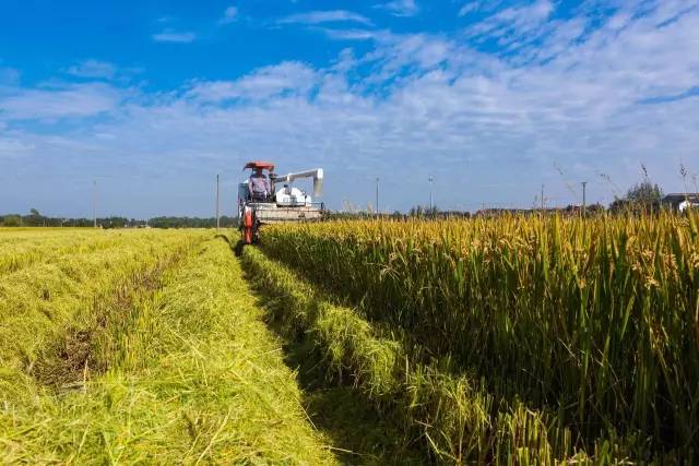 若你看过了望亭的前世今生，你会爱上这个“稻香小镇”！