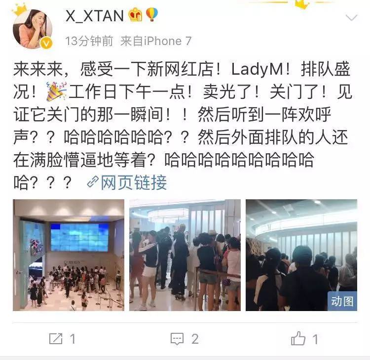 ladym鎺掗槦,ladym鍋滀笟鏃堕棿