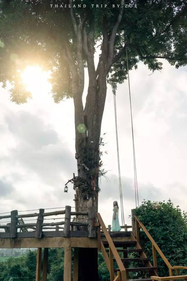 我们相爱吧无尾熊全集,我们相爱吧无尾熊