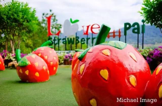 我们相爱吧无尾熊全集,我们相爱吧无尾熊