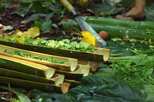 我们相爱吧无尾熊全集,我们相爱吧无尾熊