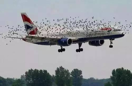 日本航空ja350号班机坠毁事件,日本航空jal123航班空难