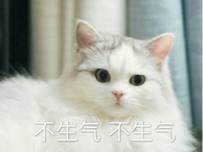 军训晒黑了怎么才能白回来啊,军训晒黑了你们白回去了吗