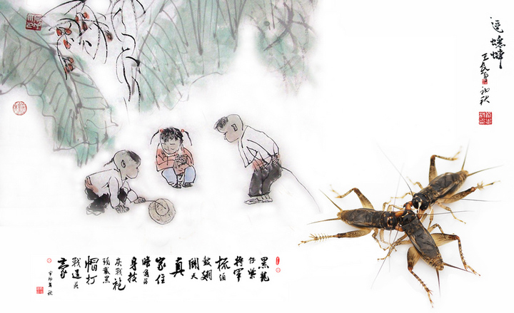 二十四节气白露转秋凉,白露节气落叶知秋凉