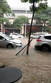 东莞最近有没有水淹现象,东莞市哪些地方被大暴雨淹了