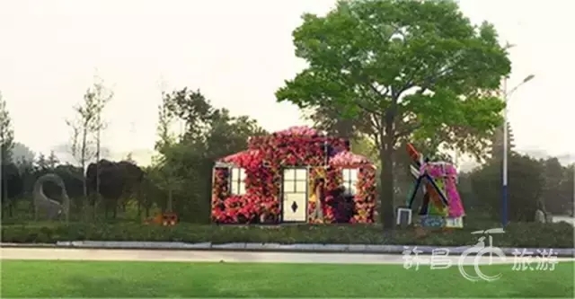 2019鄢陵花博会视频,抢先进博会