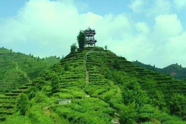 广西最美山水小城,广西山水美如人间仙境在哪里