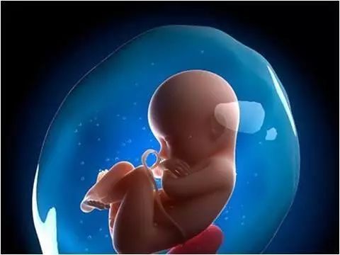 羊水是生命之源,神奇的生命之水教学视频