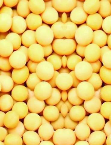 牙齿变黄、口腔异味怎么办?这些简单的食物就能搞定!