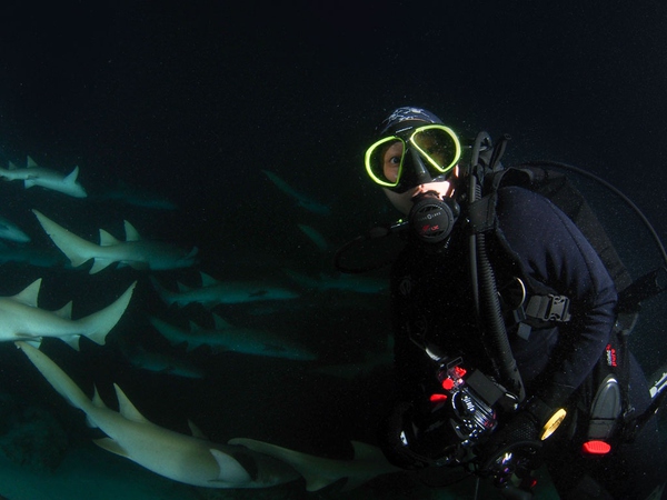 船宿潜水选哪里,从小白到潜水教练需要花多少钱