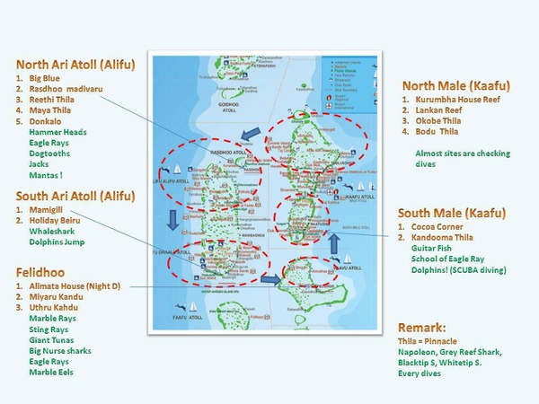 船宿潜水选哪里,从小白到潜水教练需要花多少钱