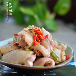 吃什么食物抗衰老美容有胶原蛋白,富含胶原蛋白的食物一览表