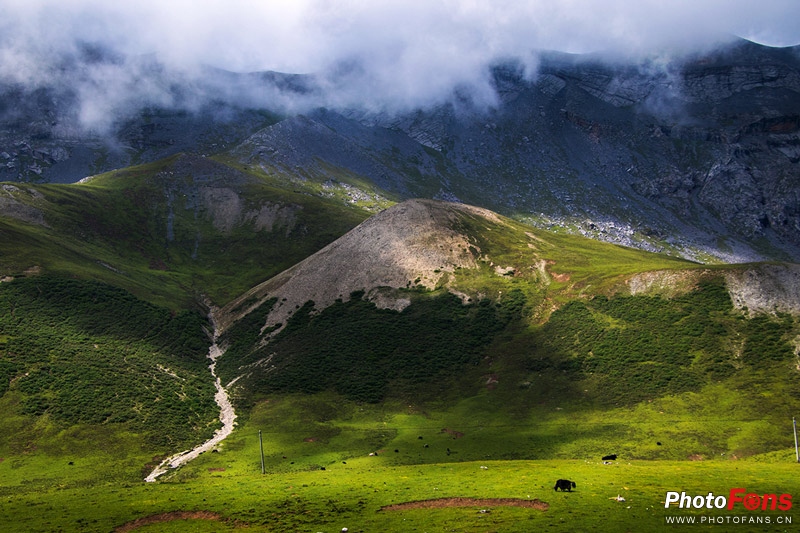 一镜走天下镜头推荐腾龙17-70,一镜走天下腾龙z70-300