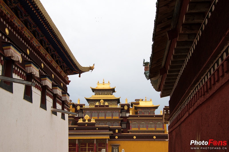 一镜走天下镜头推荐腾龙17-70,一镜走天下腾龙z70-300