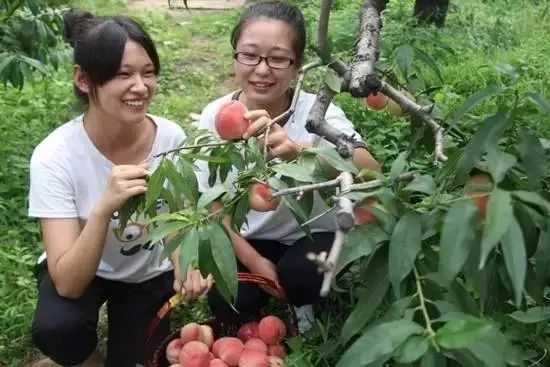 丰润景色好的地方,丰润景色最好的地方