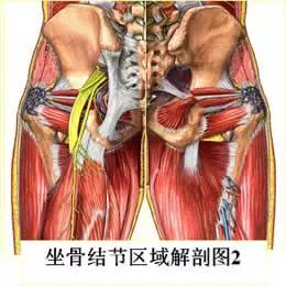 第917期|骨架与平衡!人体架子是练好太极拳的大问题(推荐阅读)