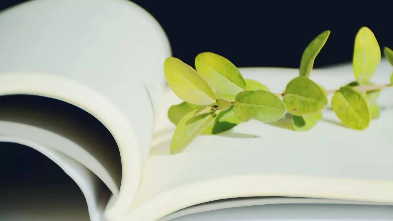 阅读文学名著的开场白,我读经典名著的开场白