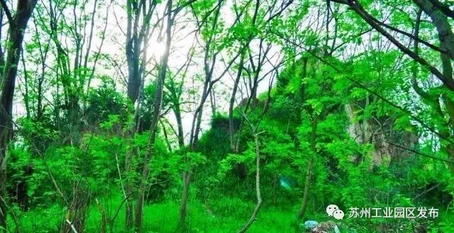 3000平方米绿地公园,兰州新区绿地体育公园