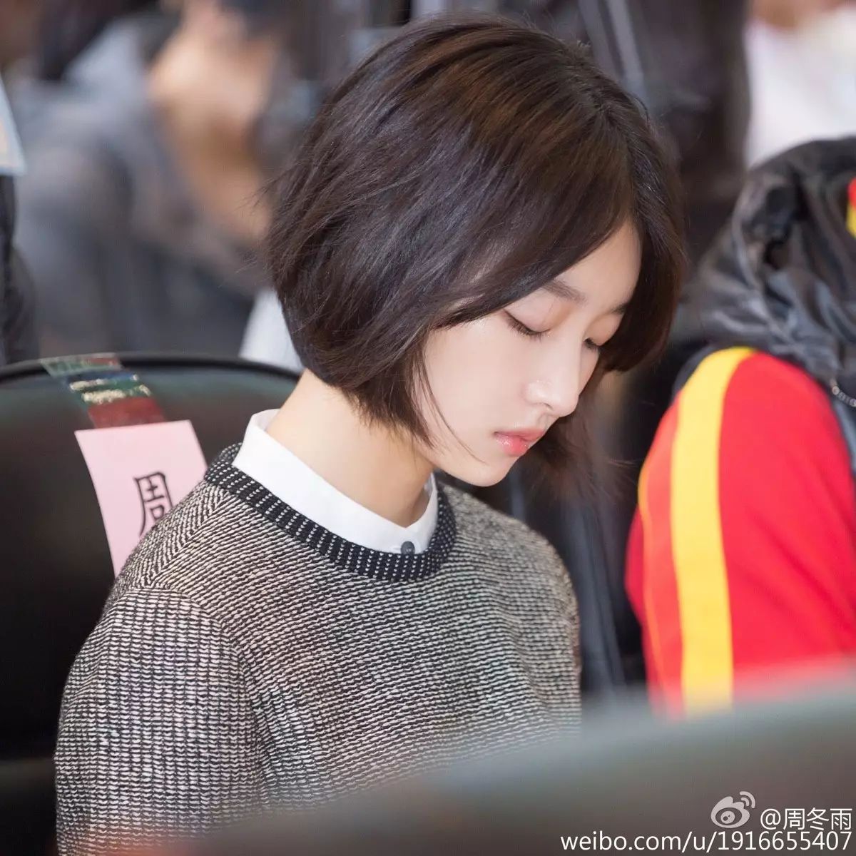 杨紫同款发型短发如何剪,杨紫王菲舒淇