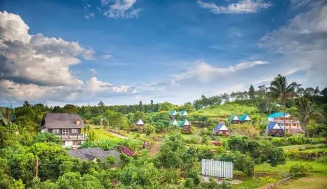 我们相爱吧无尾熊全集,我们相爱吧无尾熊