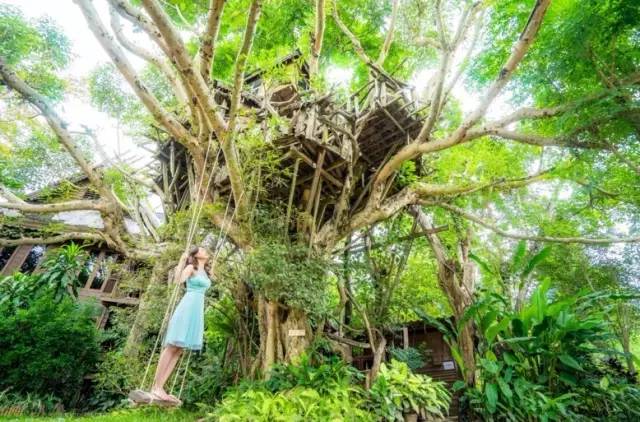 我们相爱吧无尾熊全集,我们相爱吧无尾熊