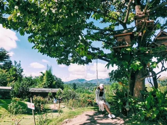 我们相爱吧无尾熊全集,我们相爱吧无尾熊