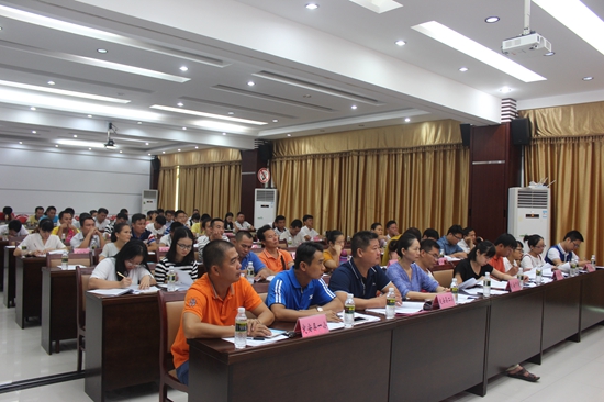 海南定安共青团,共青团少先队改革落实情况