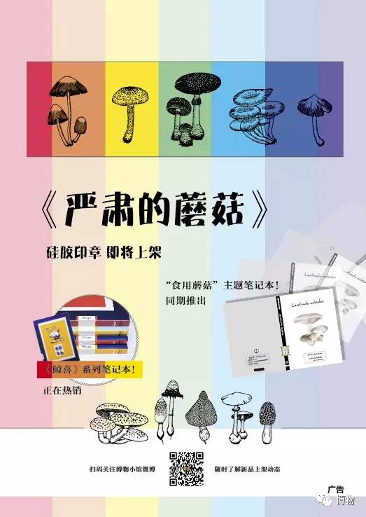 为啥马里奥要吃蘑菇才能长大？