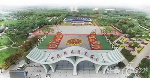 2019鄢陵花博会视频,抢先进博会