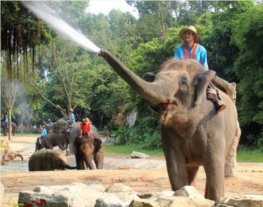 上海去泰国6日游 (上海出发到泰国三日游攻略)