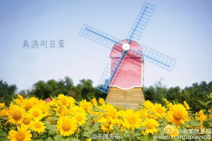 无锡秋季旅游景点攻略,无锡秋季景点推荐旅游攻略