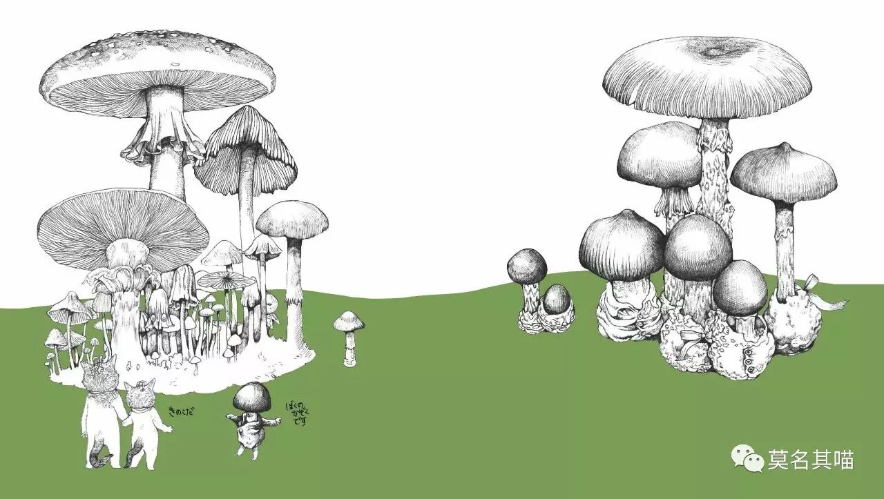 “黑暗系卡哇伊”是什么风格？樋口裕子（YukoHiguchi）笔下的猫咪异想世界